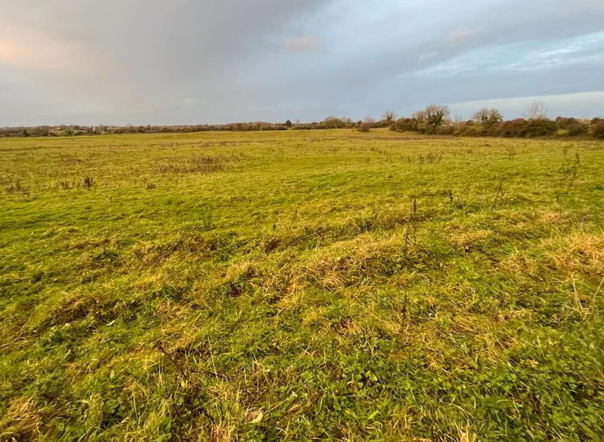 Arden Road, Tullamore, Offaly