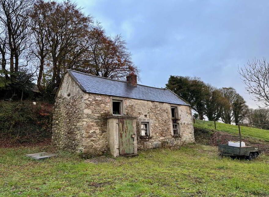 Feede Derelict Cottage On Half Acre, Feede, Ravensdale, A91FRF8 photo