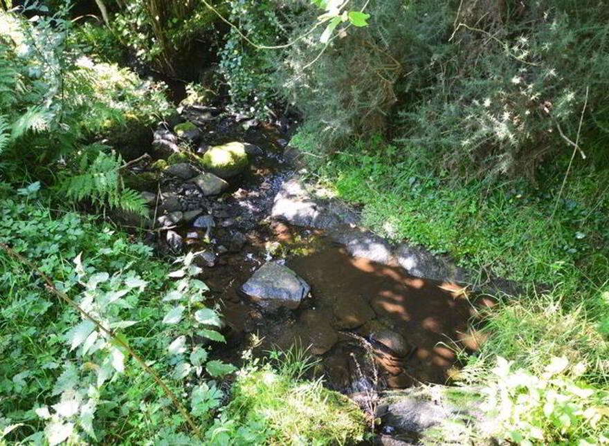 Figart, Raphoe