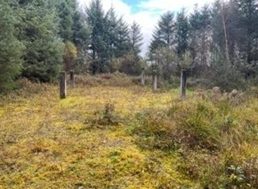 Derrynacross Road, Fassagh, Belleek, BT93 3DG