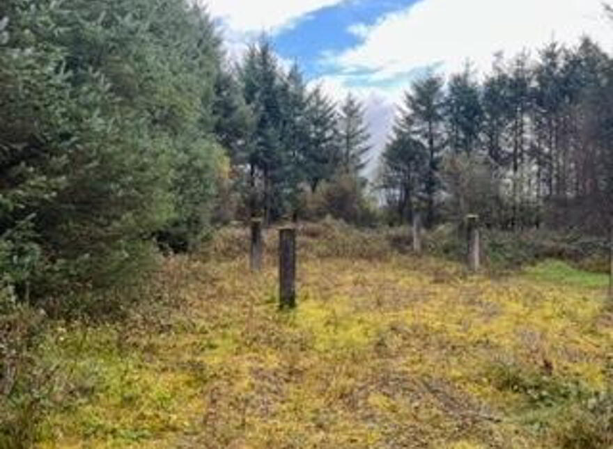 Derrynacross Road, Fassagh, Belleek, BT93 3DG