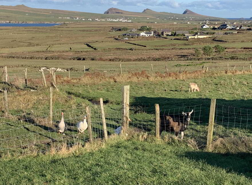 Tigh Aine, Ballyferriter