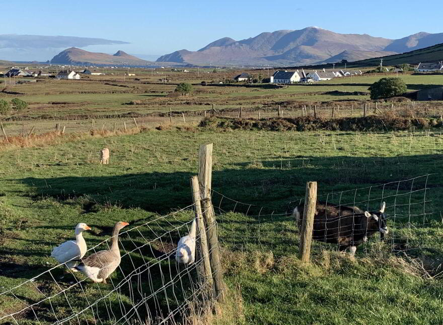 Tigh Aine, Ballyferriter