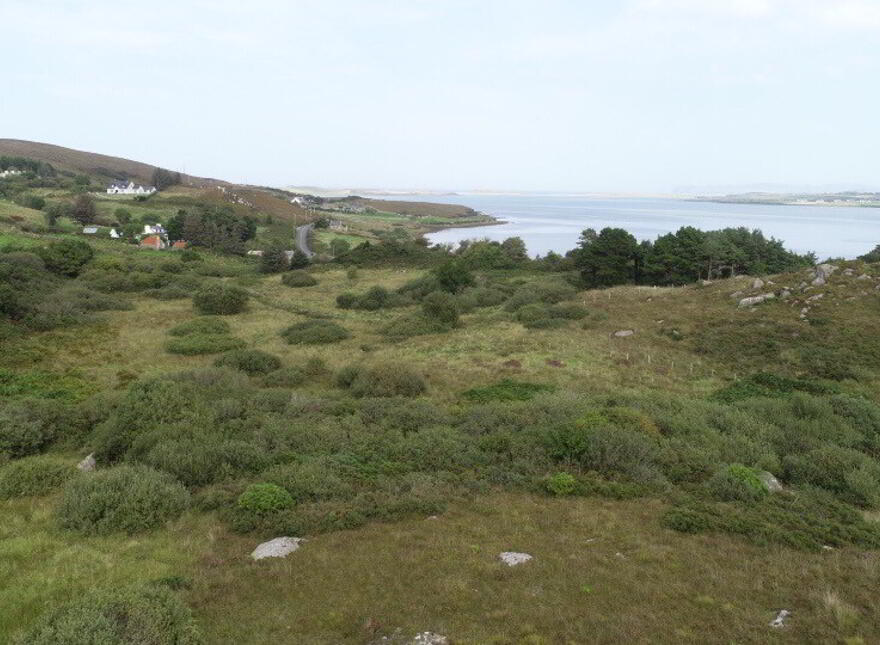 Site