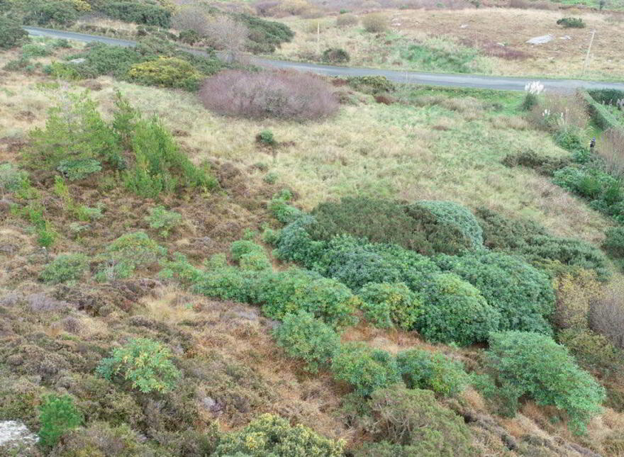 Site