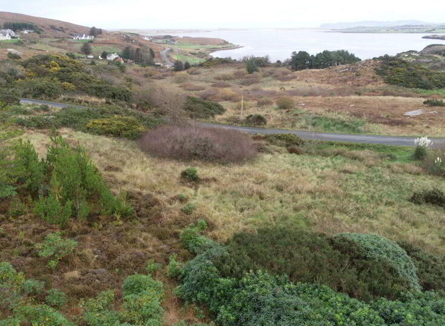 Site