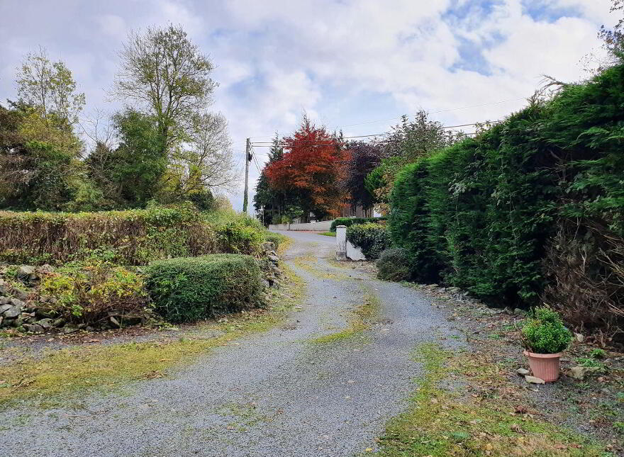 Drumhawnagh, Loughduff