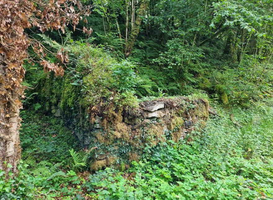 Waterfall & Land, Boho Road, Coolarkin, Enniskillen, BT74 5BH