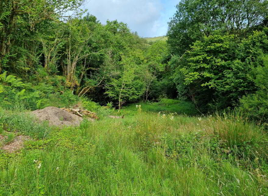 Waterfall & Land, Boho Road, Coolarkin, Enniskillen, BT74 5BH
