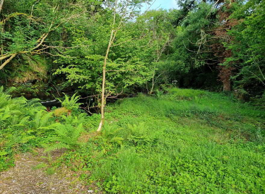 Waterfall & Land, Boho Road, Coolarkin, Enniskillen, BT74 5BH