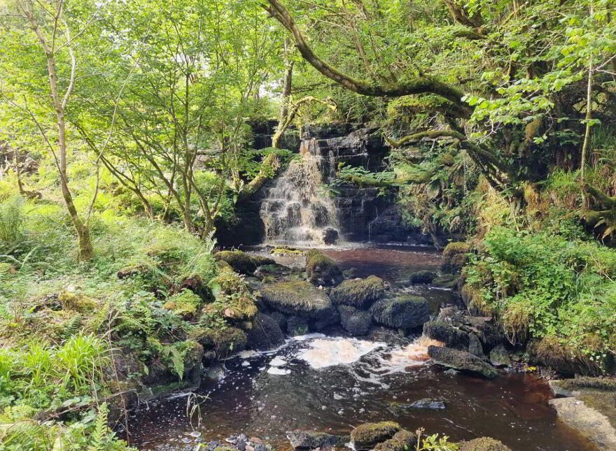 Waterfall & Land, Boho Road, Coolarkin, Enniskillen, BT74 5BH