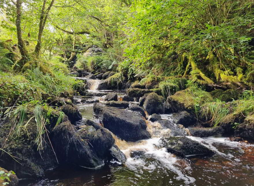Waterfall & Land, Boho Road, Coolarkin, Enniskillen, BT74 5BH