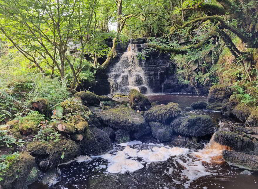 Waterfall & Land, Boho Road, Coolarkin, Enniskillen, BT74 5BH