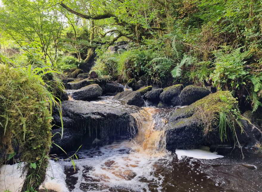 Waterfall & Land, Boho Road, Coolarkin, Enniskillen, BT74 5BH