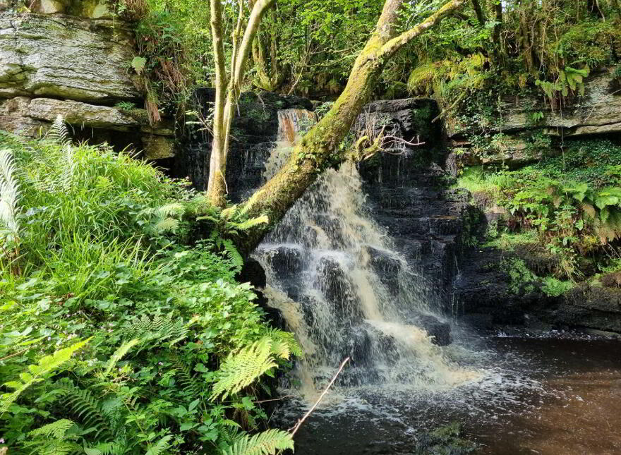 Waterfall & Land, Boho Road, Coolarkin, Enniskillen, BT74 5BH