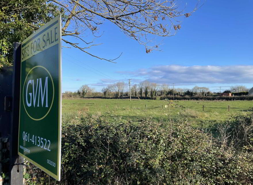 Lower Raheen, Ballyneety