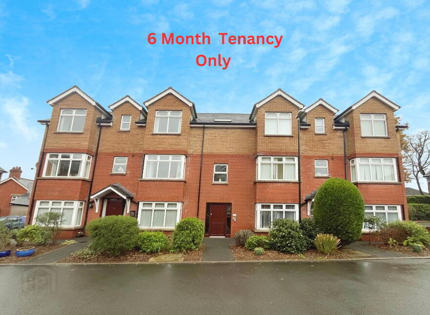 Property To Rent with Belvoir Lisburn PropertyPal