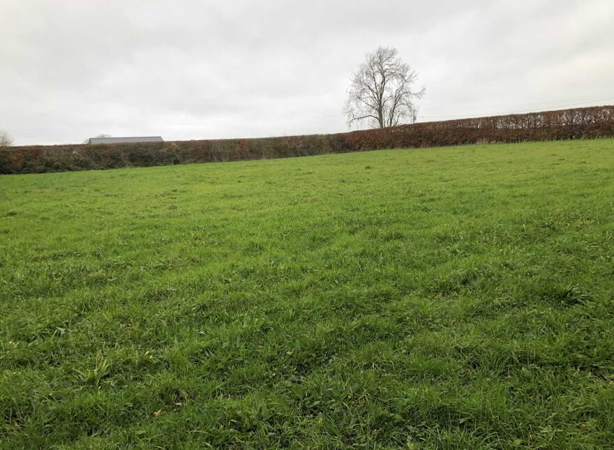 Poulacapple, East, Mullinahone
