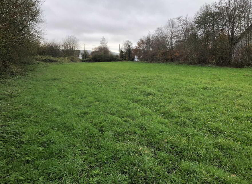 Poulacapple, East, Mullinahone
