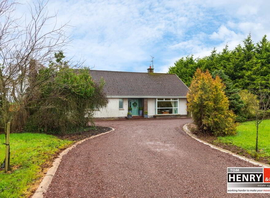 Property For Sale in Dungannon Area PropertyPal