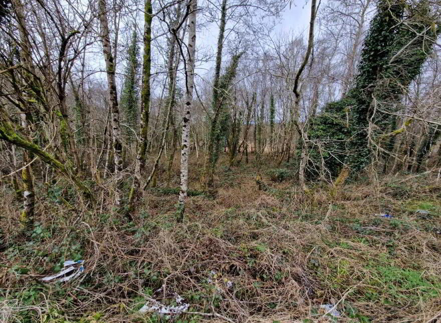 Sonnagh, Charlestown