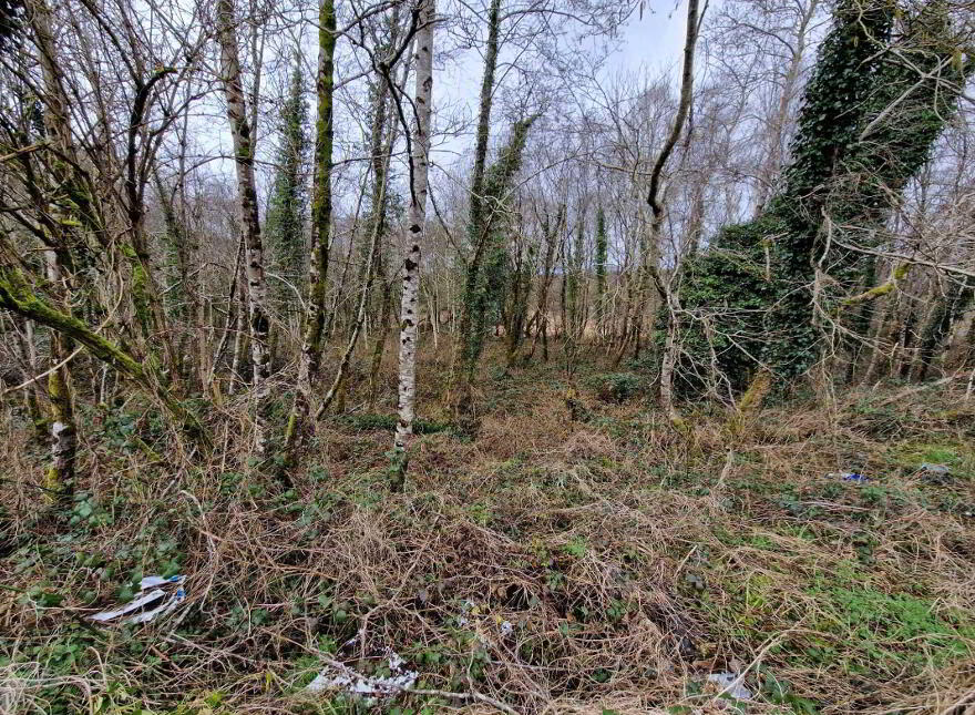 Sonnagh, Charlestown