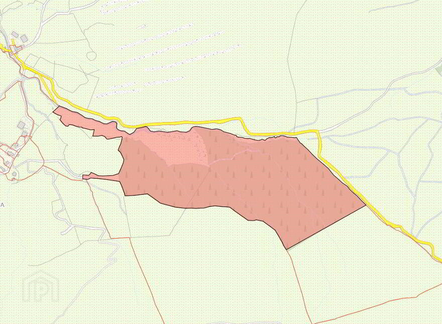 C. 41.5 Acres Forestry, Barnastooka, Kilgarvan
