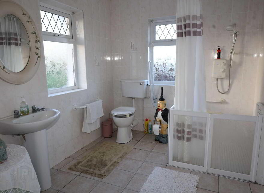 Dublin Road, Roscrea, E53A389