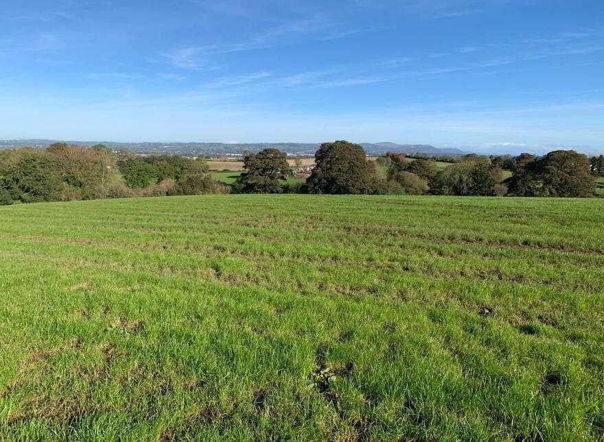 Agricultural Property For Sale in Northern Ireland PropertyPal