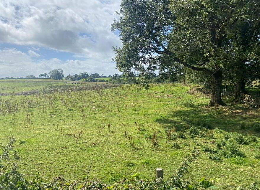 Emone, Belclare, Tuam, Galway