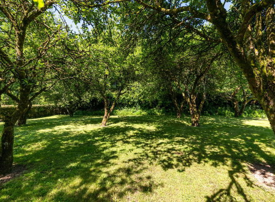 Castlegar East, Ahascragh, Ballinasloe, H53RX37