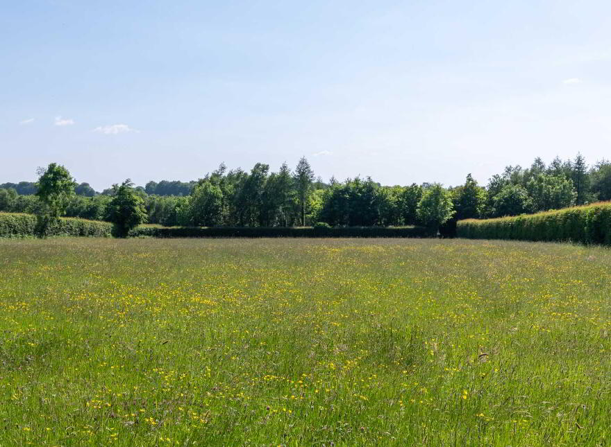 Castlegar East, Ahascragh, Ballinasloe, H53RX37