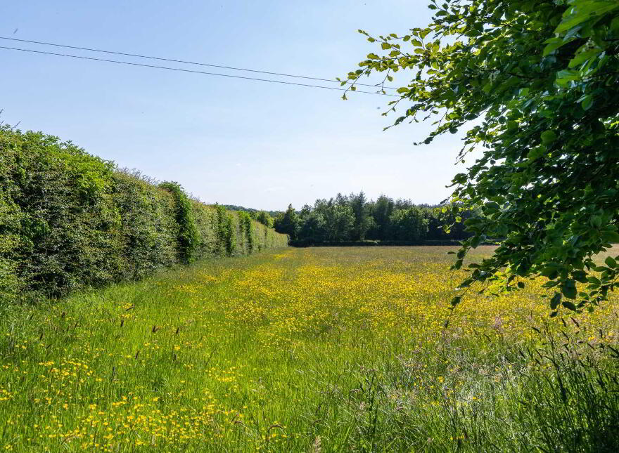 Castlegar East, Ahascragh, Ballinasloe, H53RX37