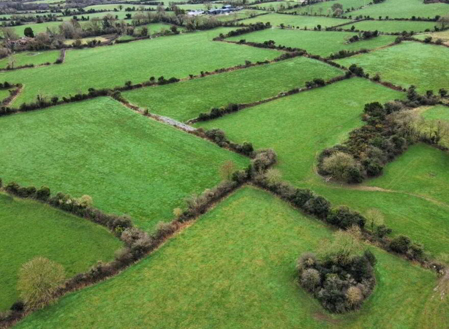Land At, Ballybray 50 Acres