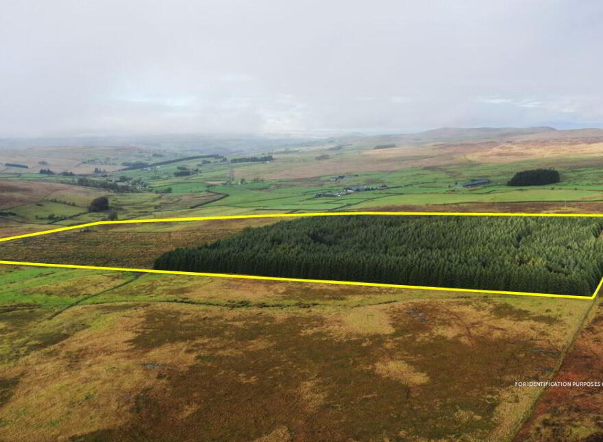 Forestry Land On Mullaghsandall Road, Larne, BT40 2LX photo