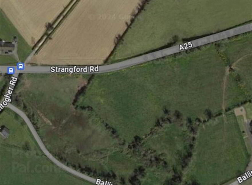 2.7 Acres Of Land, Off Strangford Road And Ballintogher Road, Downpatrick, BT30 photo