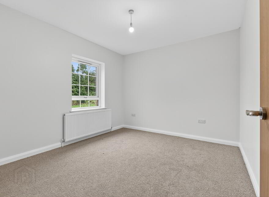 The Bluebell, Glencombe Wood, Portglenone, Ballymena