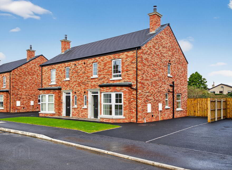 The Bluebell, Glencombe Wood, Portglenone, Ballymena