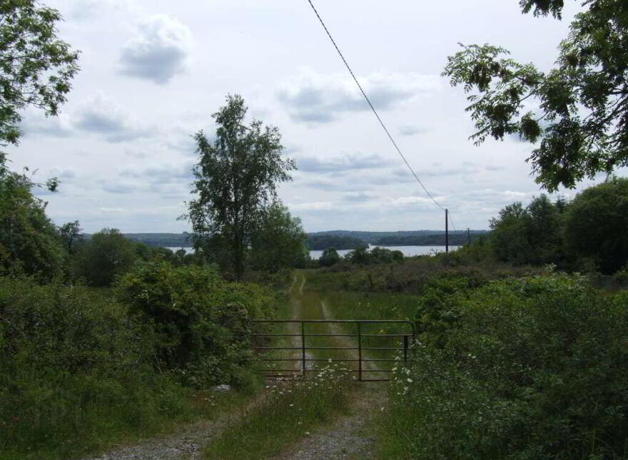 Smutternagh, Boyle
