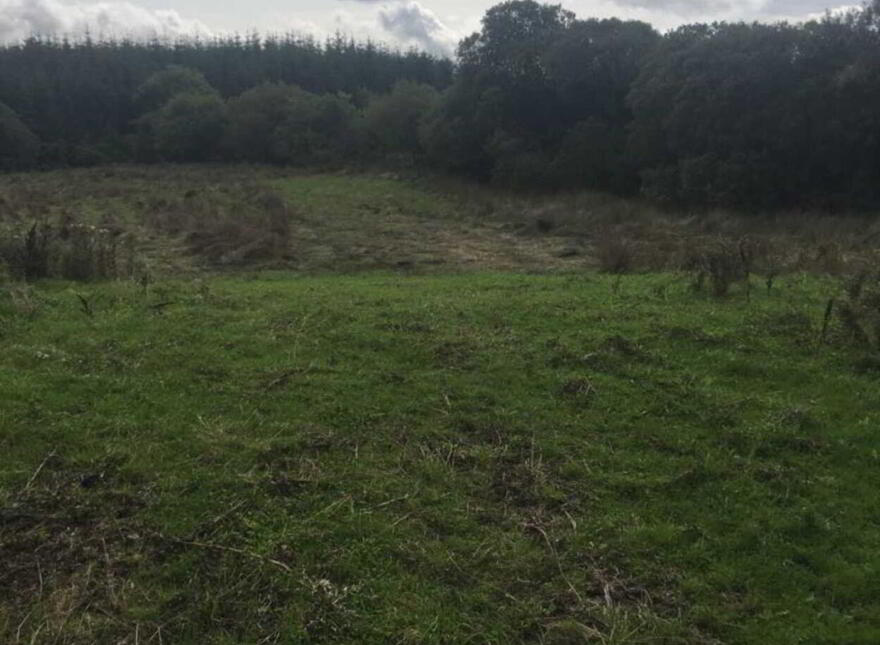 Bridgcartron, Ballyfarnon, Boyle