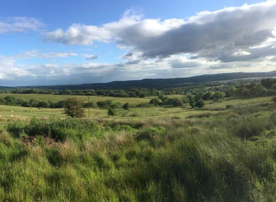Cuiltygower, Boyle