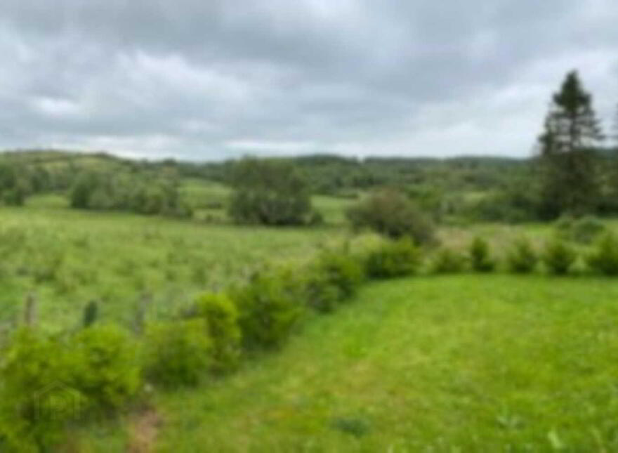 Clerragh, Corrigeenroe, Boyle, F52WN15