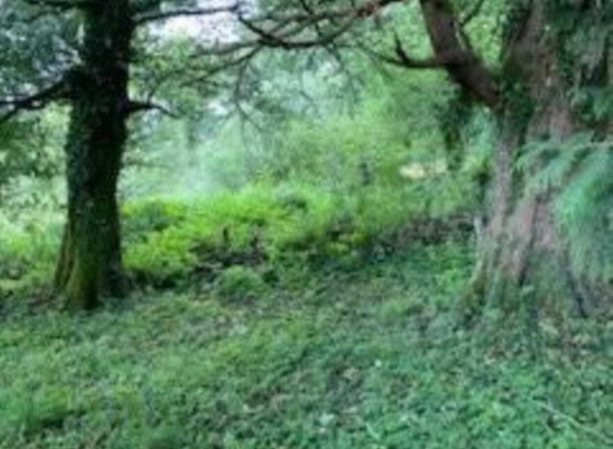 Clerragh, Corrigeenroe, Boyle, F52WN15