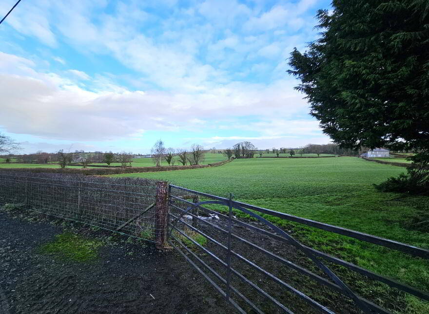 10 Gortfad Road, Portglenone, Ballymena, BT44 8EH