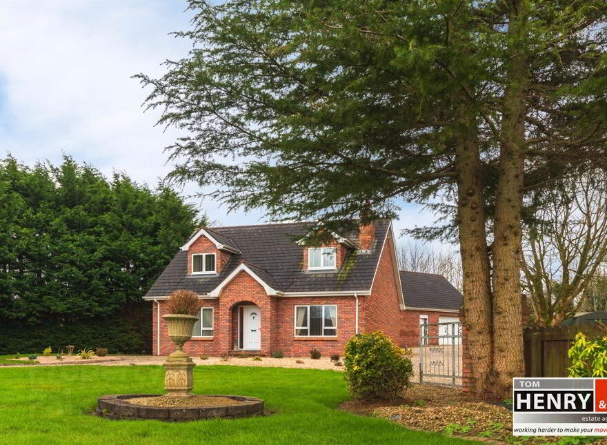 Property For Sale in Dungannon PropertyPal