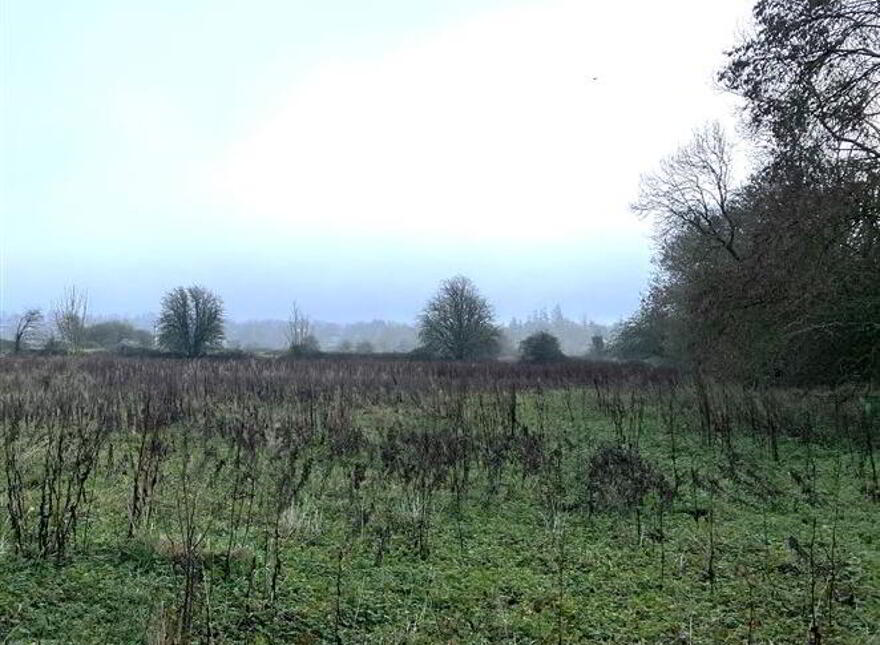 Kiltroge, Cahernashilleeny, Claregalway, Galway