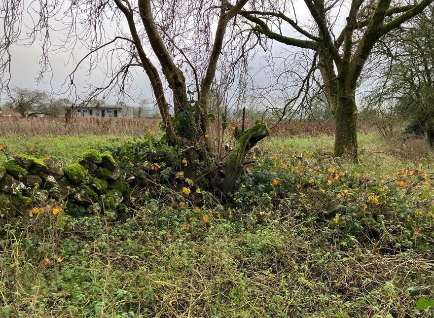 Kiltroge, Cahernashilleeny, Claregalway, Galway