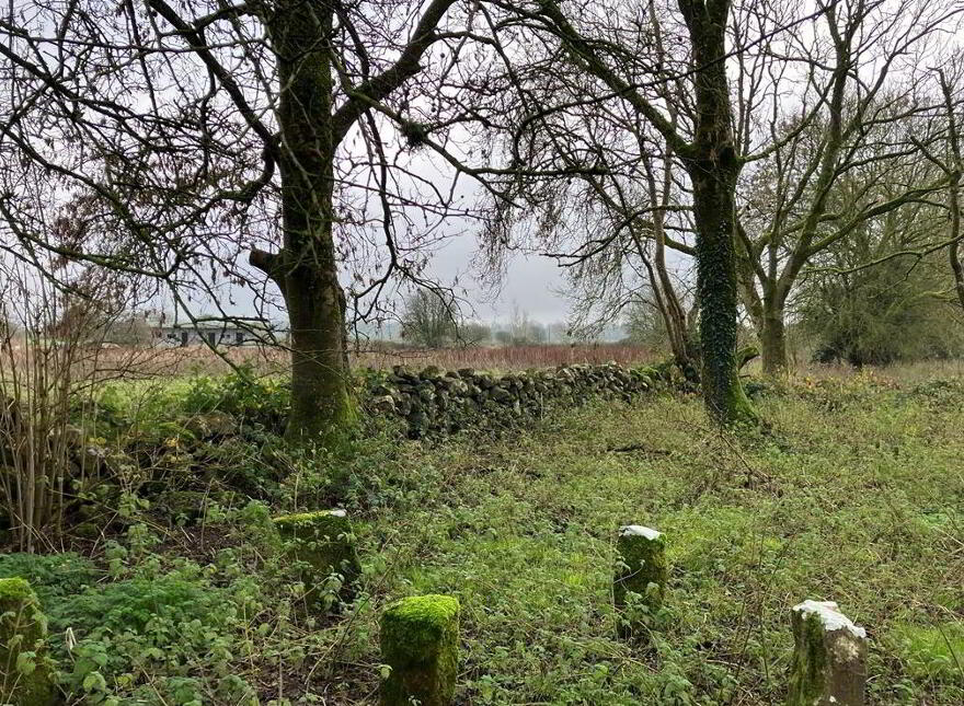 Kiltroge, Cahernashilleeny, Claregalway, Galway