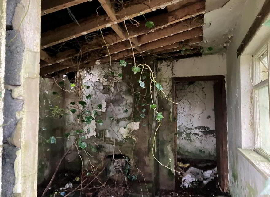 Kiltroge, Cahernashilleeny, Claregalway, Galway