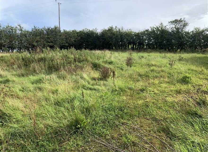 20 Kinallen Road, Kinallen, Dromore, BT25 2NW